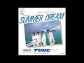 SUMMER DREAM オリジナルカラオケ(コーラス入り)TUBE