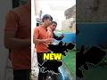 INI IKAN PREDATOR BARU HASIL HUNTING UNTUK MENGHUNI KOLAM