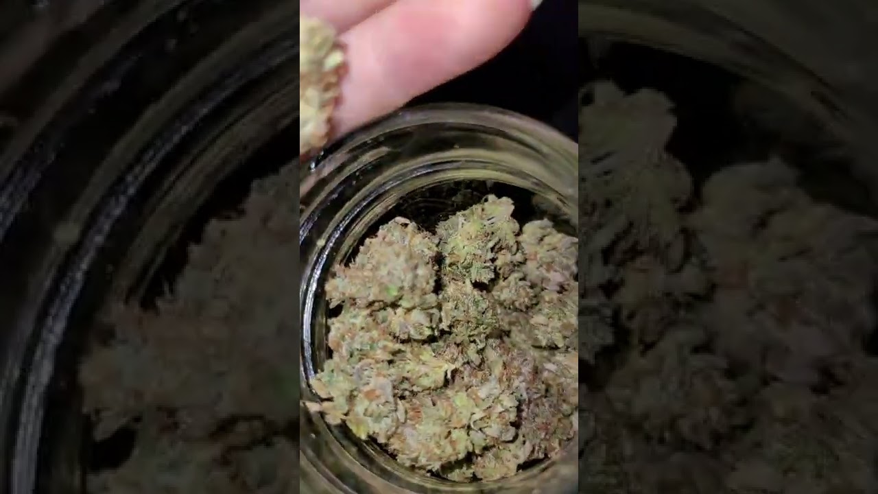 vanilla frosting harvest 2022.