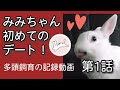 多頭飼育の記録動画　第１話　うさぎのデート