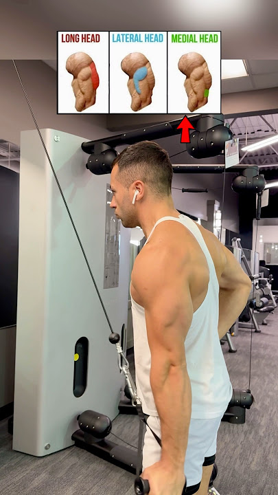 Cable Triceps Kickback Long Head , Lateral Head, & Medial Head