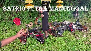 Mberot Bareng Bantengan Satrio Putra Manunggal Full Kalapan