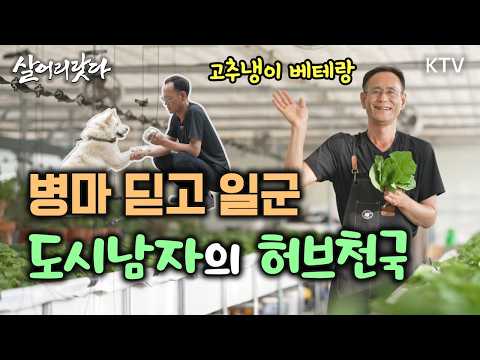 (세종 소정/391회) 삶의 끝자락, 병마딛고 일군 도시남자의 허브천국ㅣ#KTV #살어리랏다 #귀농 #귀촌 #인생2막 #약초