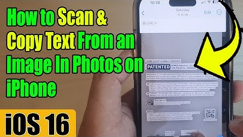iOS 16: How to Scan & Copy Text From an Image In Photos on iPhone