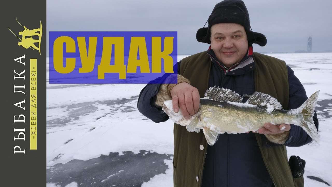 Ловля судака на Финском заливе. Зимняя рыбалка на раттлин - YouTube