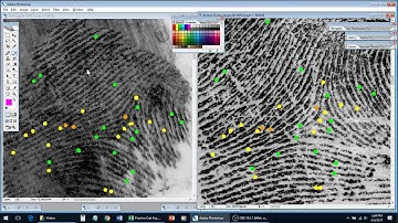 How to Compare Fingerprints - Examples 1-3