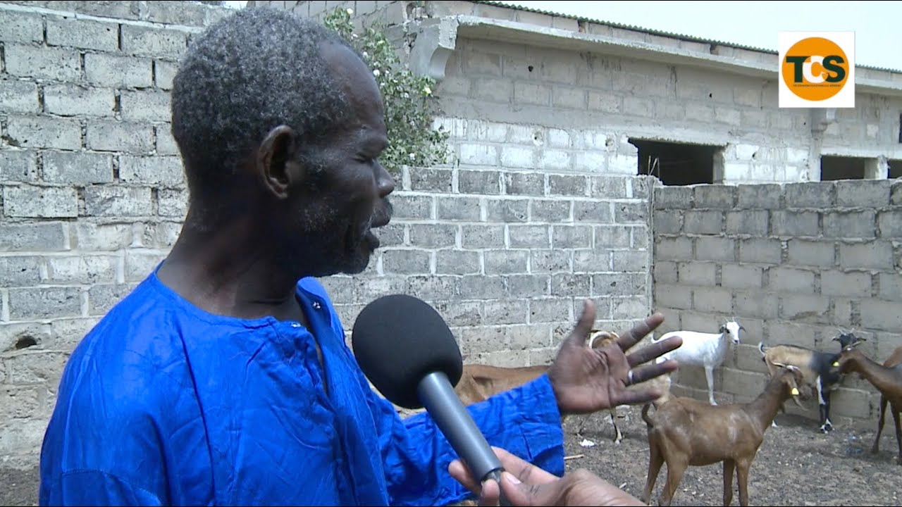 BASS FALL : Un modele d'adaptation et de reussite d'un elevage moderne en pleine campagne au Senegal