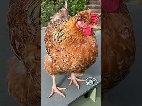 Je veux un câlin moi ❤️‍🩹