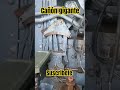 interior cañon de guerra🔞 #urbex #militar #cañon #tanque #ucranis #shortvideo #shortsfeed #parati