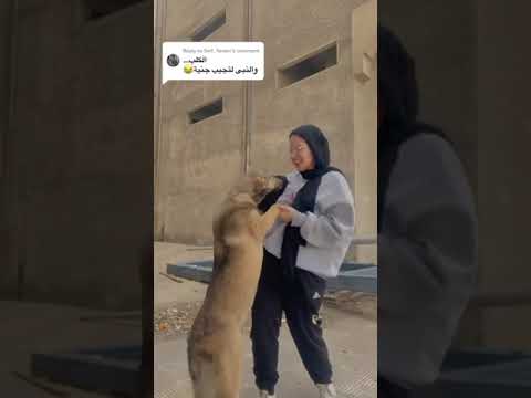 والنبي لا تجيب جنيه