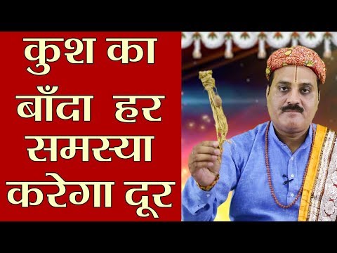 Kush Ka Banda: कुश का बाँदा - मामूली नहीं चमत्कारी है ये पौधा, कर देगा हर समस्या दूर | Boldsky