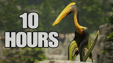 I Played The Hatz TLC For 10 Hours And This Is What Happened...