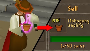 I Just Unlocked the Best Money Maker the GE has to Offer! GE Only #23 [OSRS]