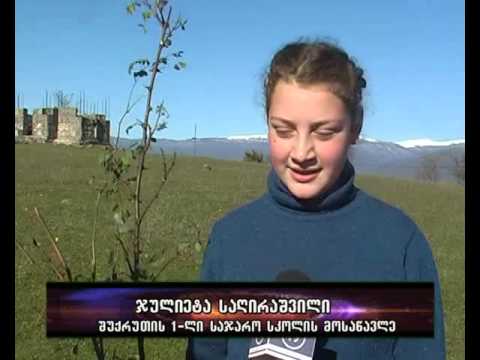 ქარსაცავი ზოლები - კალაურში-იმერვიზია 2014