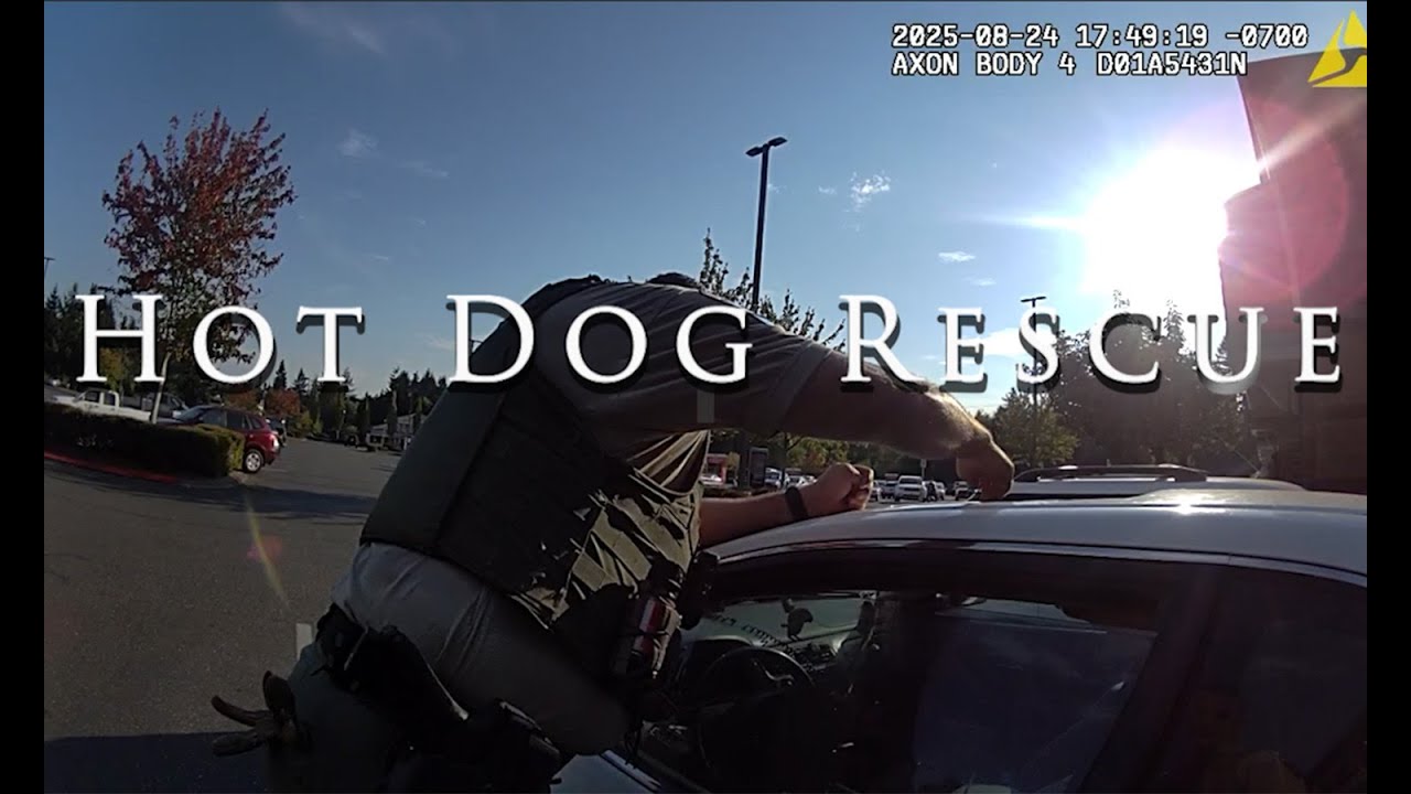 On Patrol: Dog in Hot Car Rescue 