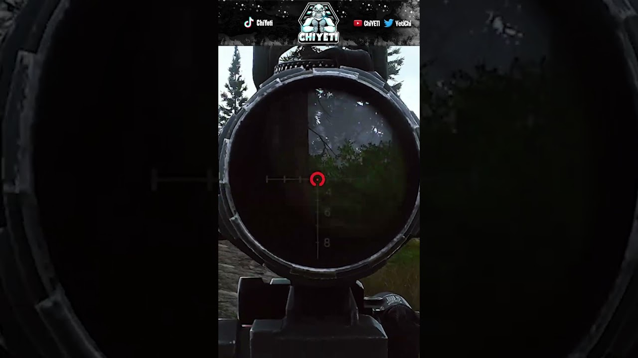 Bush Wookies - ESCAPE FROM TARKOV #tarkovshorts