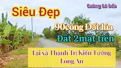 Chào bán 90công Đất ruộng Tại xã thạnh Trị Kiến Tường Long An Mặt tiền siêu khủng#bdslongan