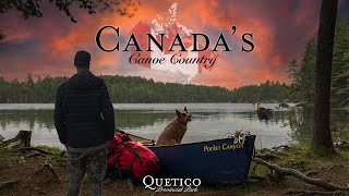 Classic Canadian Canoe trip + INCREDIBLE CLOSE ENCOUNTER with a Moose  Quetico Provincial Park