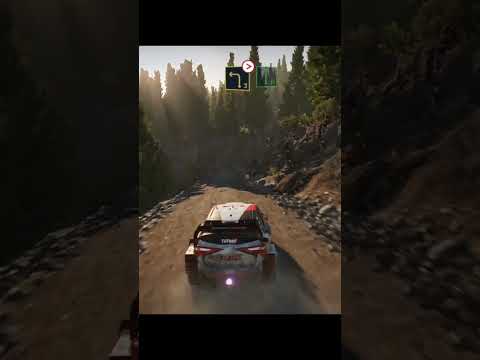WRC Drivers Have