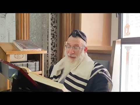מסכת ביצה פרק ד משנה ב חלק 2 - רב בהר שליט"א