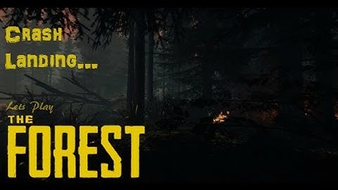 Crash Landing...[1]  |  The Forest
