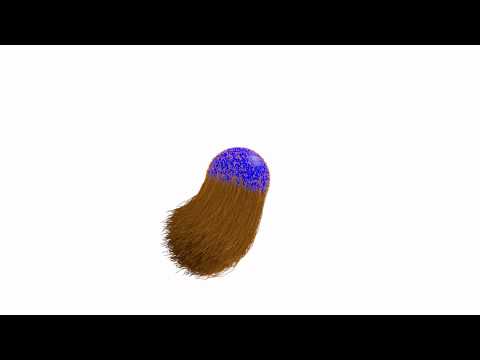 Hair Test with Blender