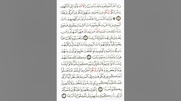 سورة الكهف من الآيات 16_20 🌴 الشيخ ماهر المعيقلي.