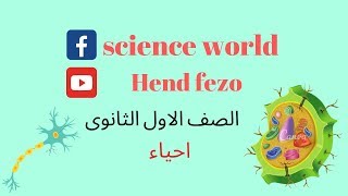 حل اسئلة الكربوهيدرات - كتاب الامتحان - كتاب الاسئلة 2020
