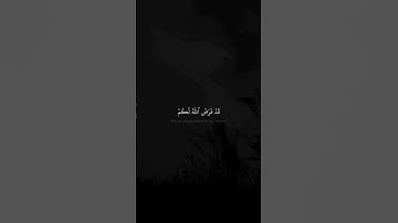 قد فرض الله لكم | محمد صديق المنشاوي | سورة التحريم