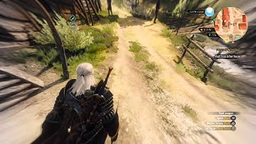 The Witcher 3: Wild Hunt npc quips