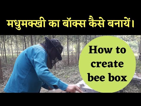 वीडियो: जल्दी से एक बॉक्स कैसे बनाएं