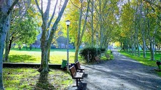 Av. Dr. António Rodrigues Manito, Bairro do Liceu, Parque de Vanicelos, Setúbal