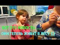 VLOG. ФГДС. У МЕНЯ ГОСТИ. НАКОНЕЦ ВРУЧИЛА ПОДАРОК