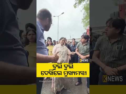 ବୁଲି ବୁଲି ଦେଖିଲେ ମୁଖ୍ୟମନ୍ତ୍ରୀ | Knews Odisha