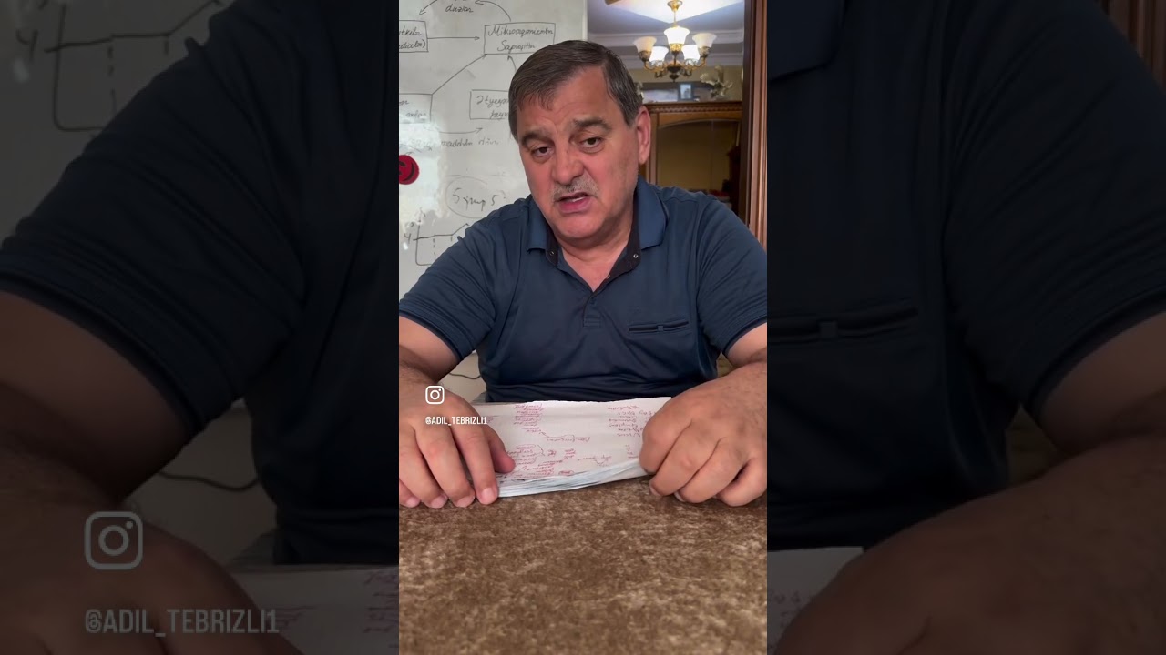 Bakteriyalar.Göbələklər.Şibyələr-3