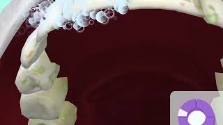 Philips Sonicare Kids Brushing video