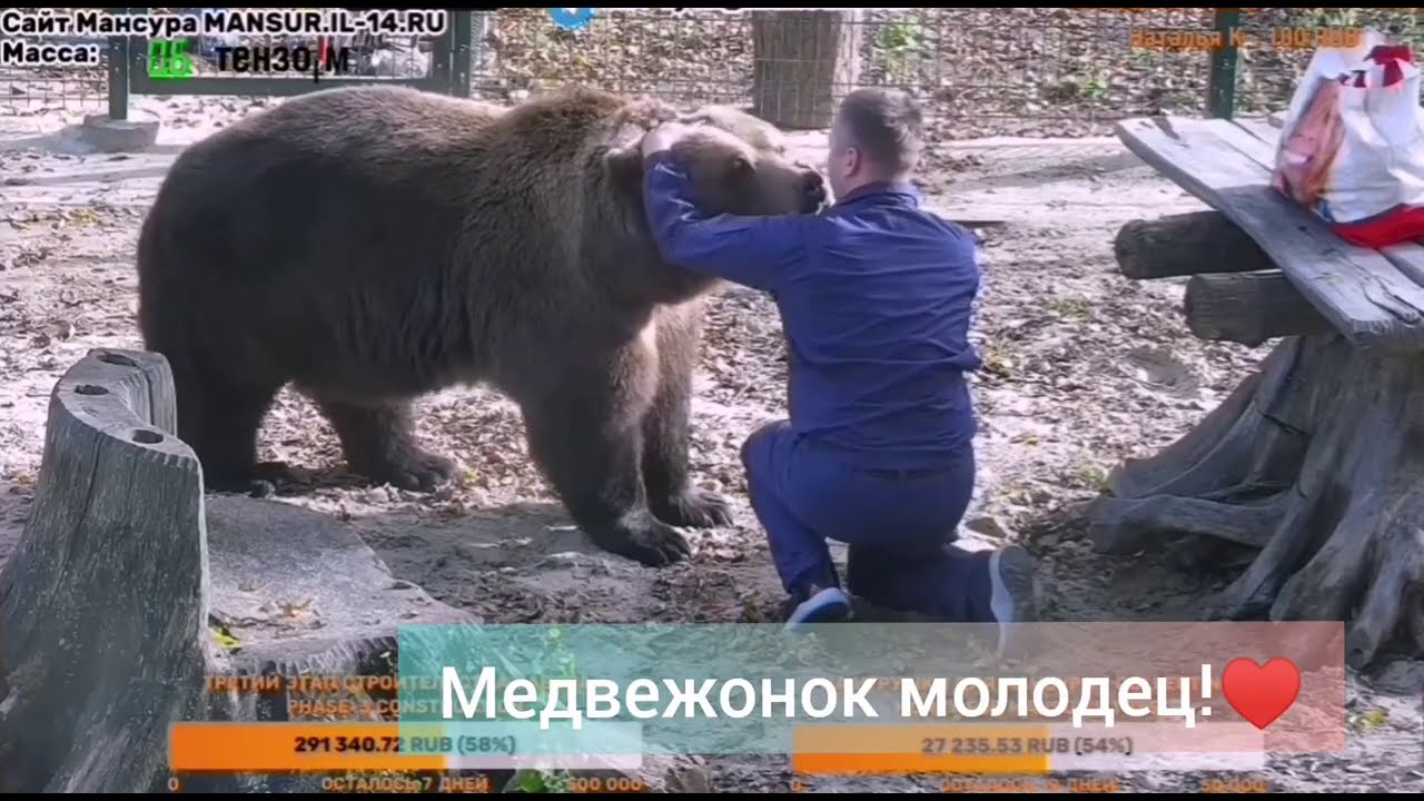 Андрей заметил пропажу! ¦? Медведь Мансур - YouTube