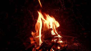 焚火［Bonfire］無印良品ステンレスバット 並列型 檜端材［［夜間］
