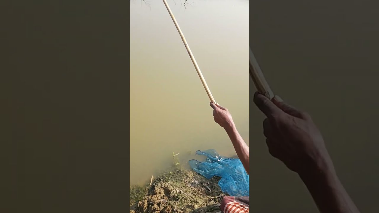 Asia Bangladesh Village | Many People Catching Fish in Lake | Childhood Memories