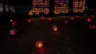 4,000 hand-carved pumpkins light up the West End Fairgrounds