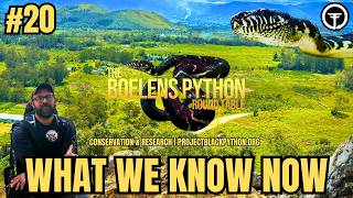 Episode 20: Boelen’s Pythons...What We Know Now | The Boelens Python Round Table Podcast