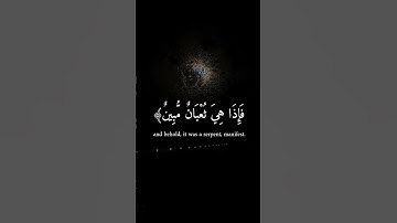 نهاوند نادر بصوت القارئ الشيخ محمّد صديق المنشاوي #القران #المصحف #نهاوند