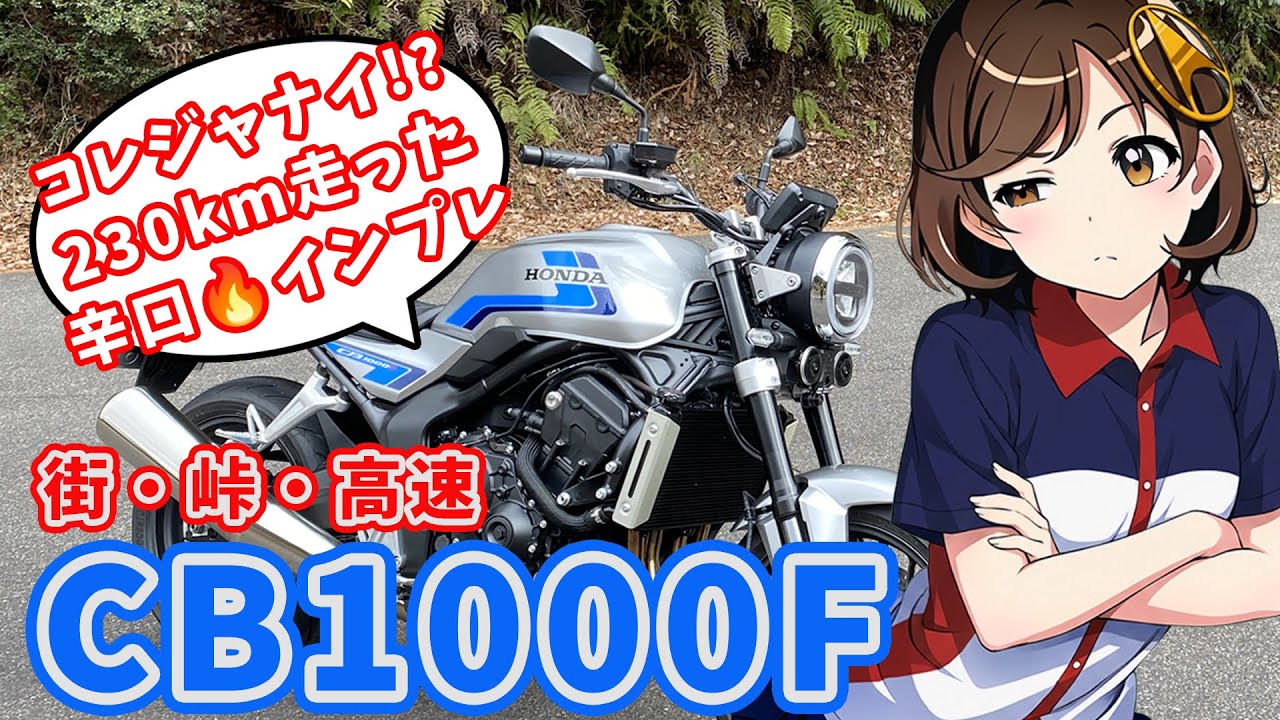 期待外れ!? ホンダ CB1000F  230km１日 インプレ・レビュー！HONDA GO レンタルバイク