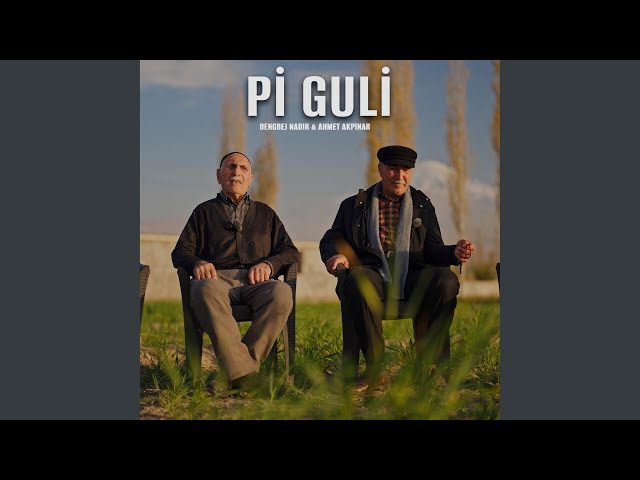 Pi Guli (feat. Dengbej Nadır & Ahmet Akpınar)