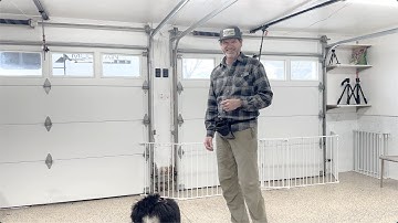 Dog Training 101: Charging the Marker