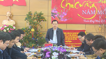 Triển khai công tác quản lý bảo vệ rừng và phát triển rừng năm 2023