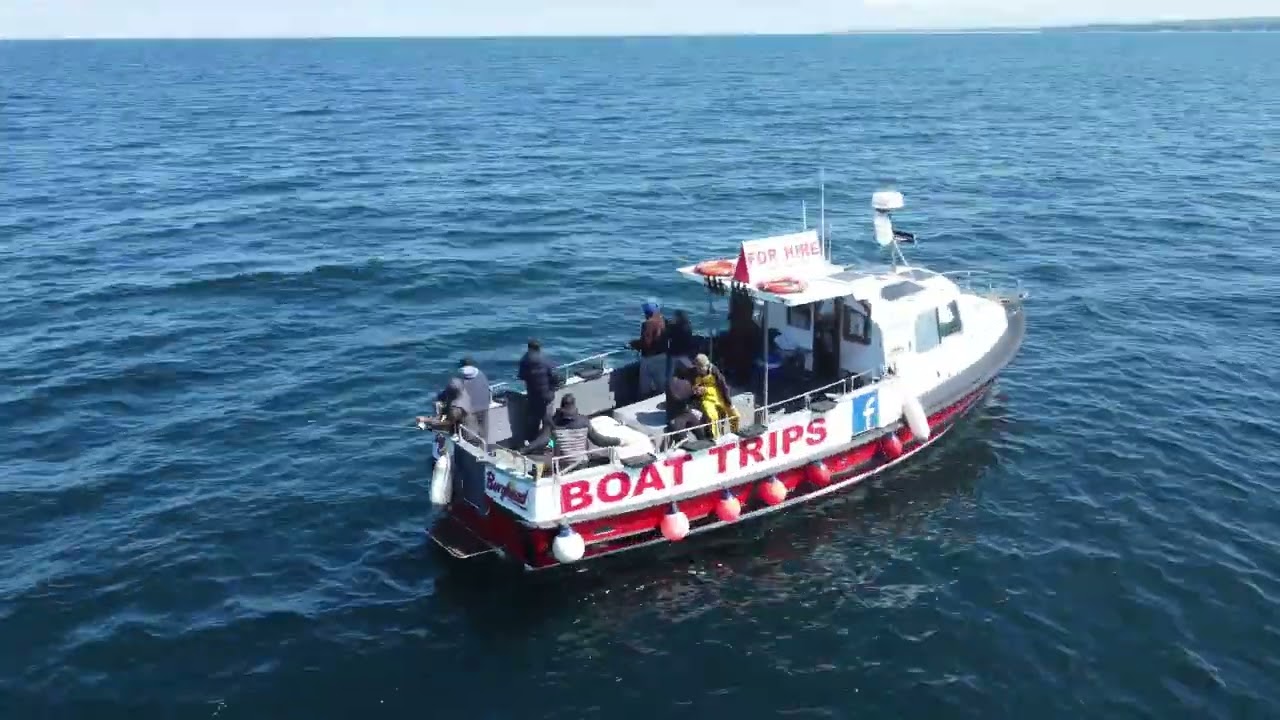 fishing trips moray firth