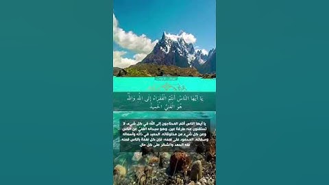 سوره فاطر عمر البيتي