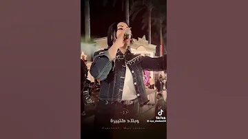 الحب مشاني سكك وبلاد كتيرا ايه شعبان لايف موال مواويل حزينه 