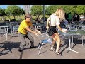 Chair Pulling Prank in Birmingham!!!